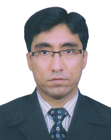 Dr. Ashish Nayyar, Professor
